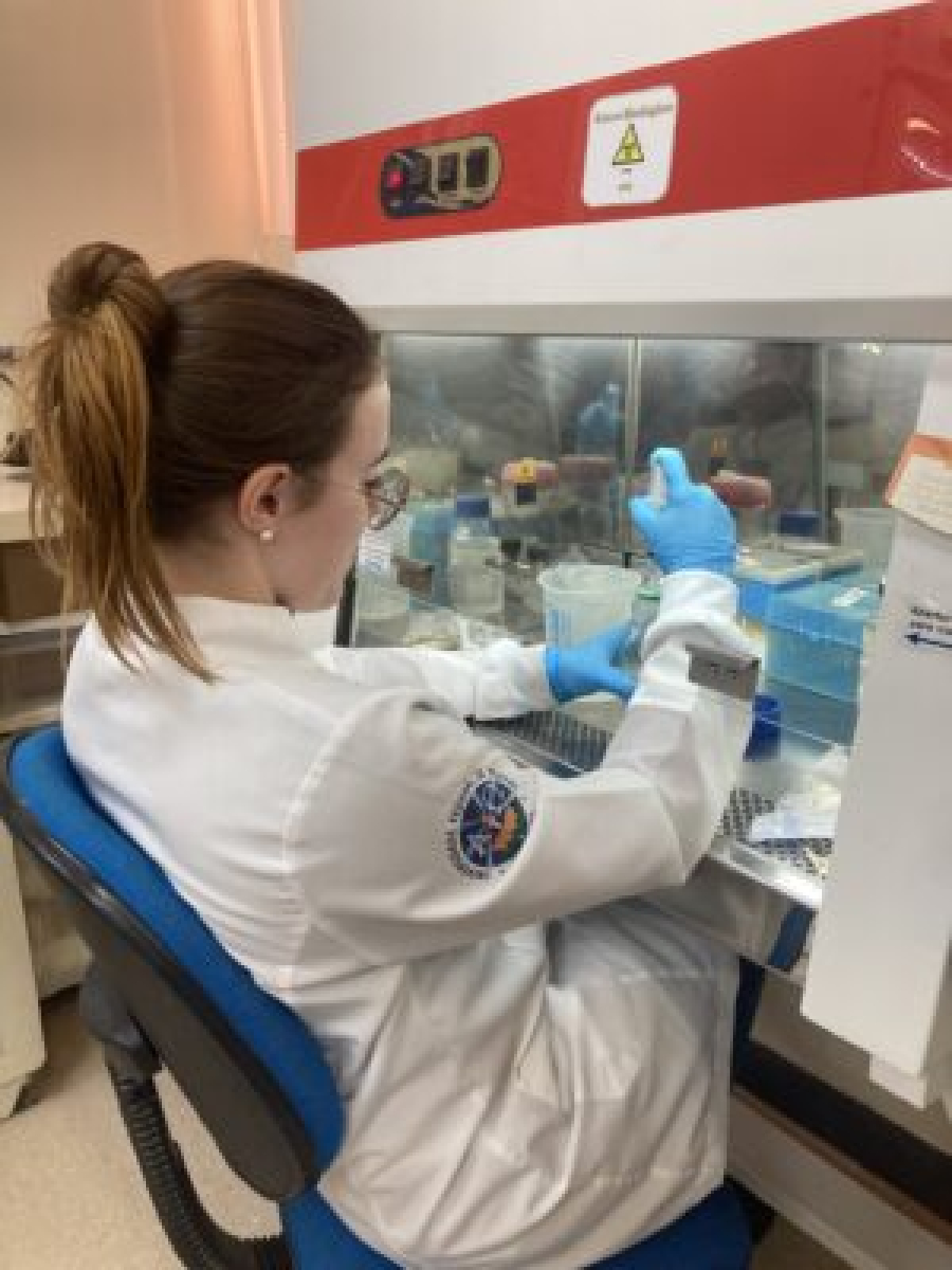 UFPel sedia projeto que prevê desenvolver soluções inovadoras para prevenção de doenças em animais de produção